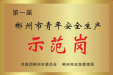 点赞！郴州这个集体喜获第一届“郴州市青年安全生产示范岗”荣誉称号