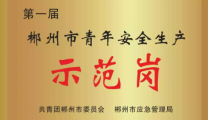点赞！郴州这个集体喜获第一届“郴州市青年安全生产示范岗”荣誉称号
