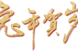 仰望星空 怀揣梦想 脚踏实地 勇毅前行 | 郴州市第三人民医院2023年新春贺词