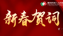 感恩有您 “医”心守护 | 郴州市第三人民医院2025年新春贺词