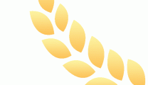 【卓越管理】严把质量关，聚力促提升——我院全面开展2025年第一季度质量管理预评工作