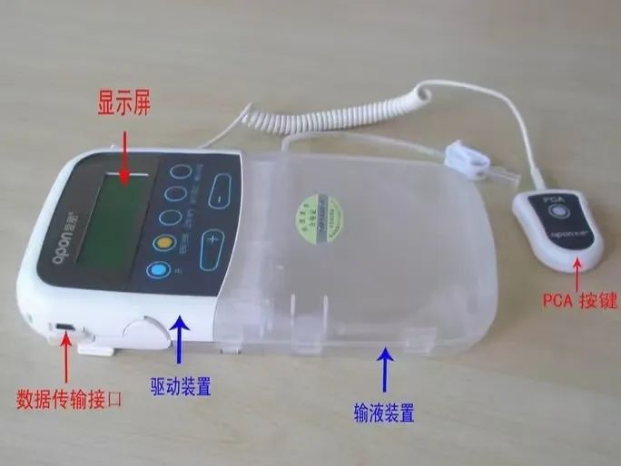 镇痛泵结构.jpg