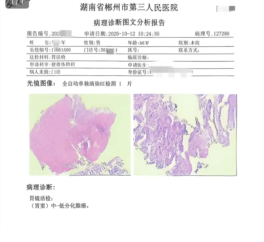 体检报告2.jpg